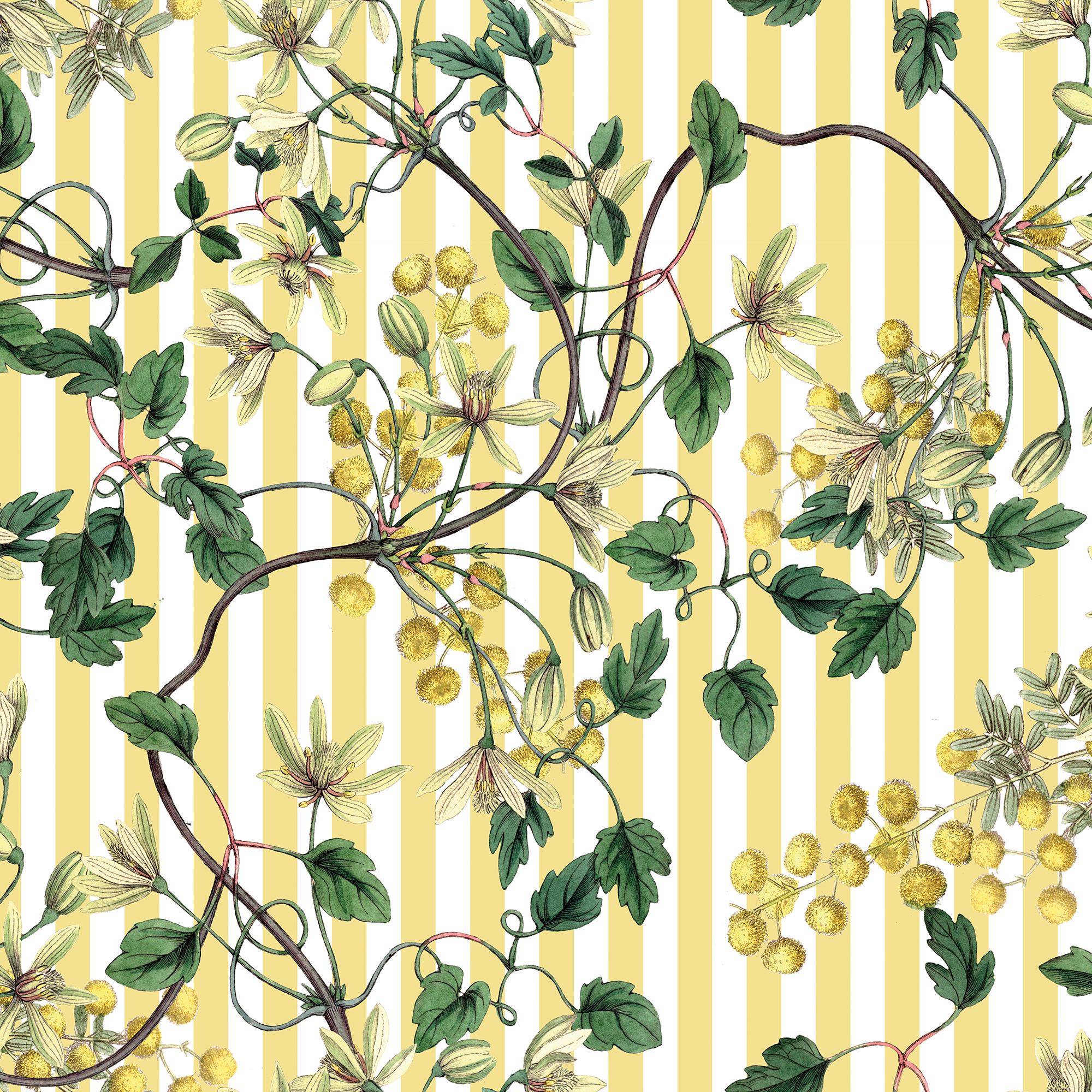 Botanical Spring (Flores + Lineas)