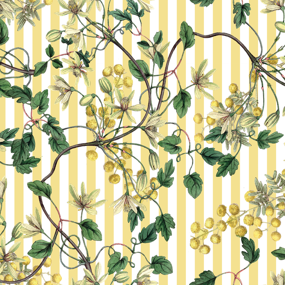 Botanical Spring (Flores + Lineas)