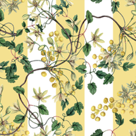 Botanical Spring (Flores + Lineas)