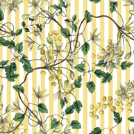 Botanical Spring (Flores + Lineas)