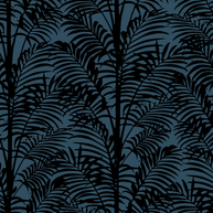 Palmy Palms