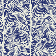 Palmy Palms
