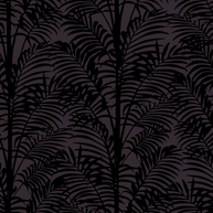 Palmy Palms
