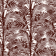 Palmy Palms