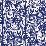 Palmy Palms