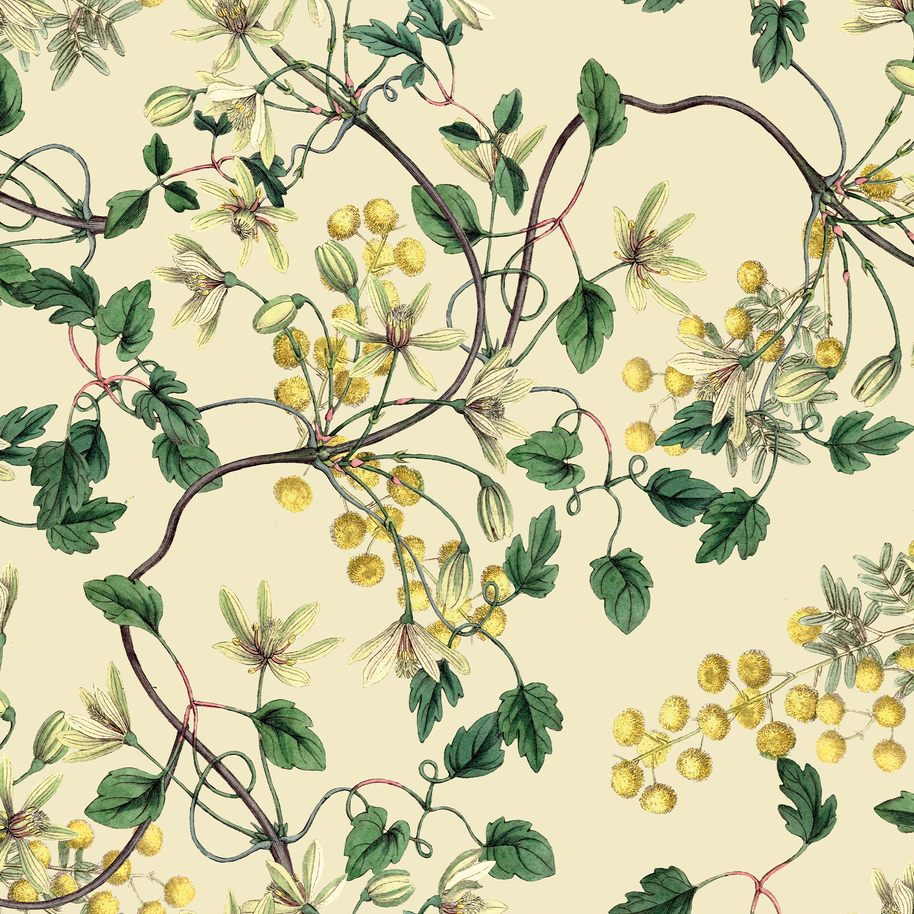 Botanical Spring (Flores + Lineas)