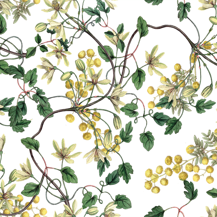 Botanical Spring (Flores + Lineas)