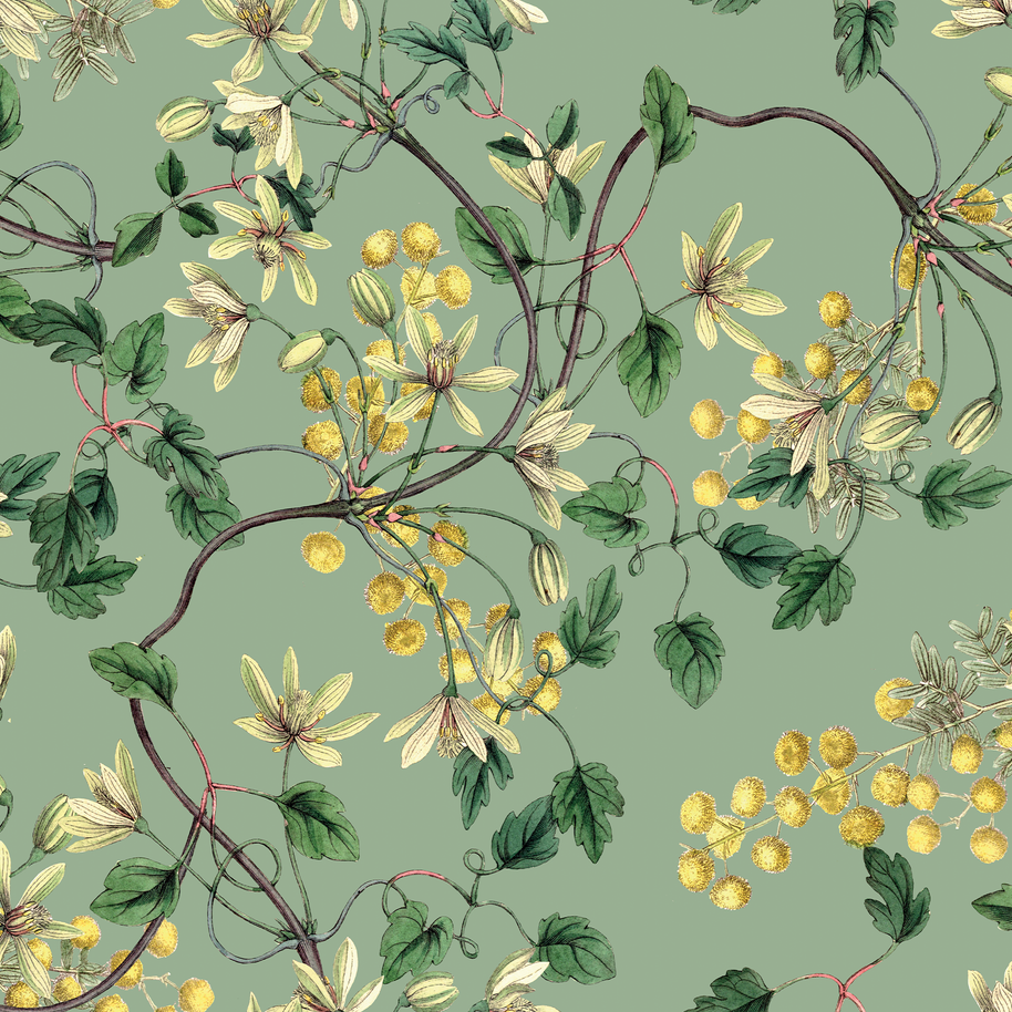 Botanical Spring (Flores + Lineas)