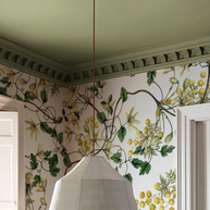 Botanical Spring (Flores + Lineas)