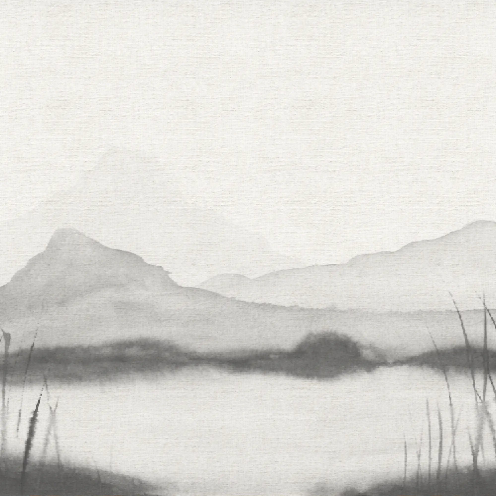 Mural Laguna Desierto