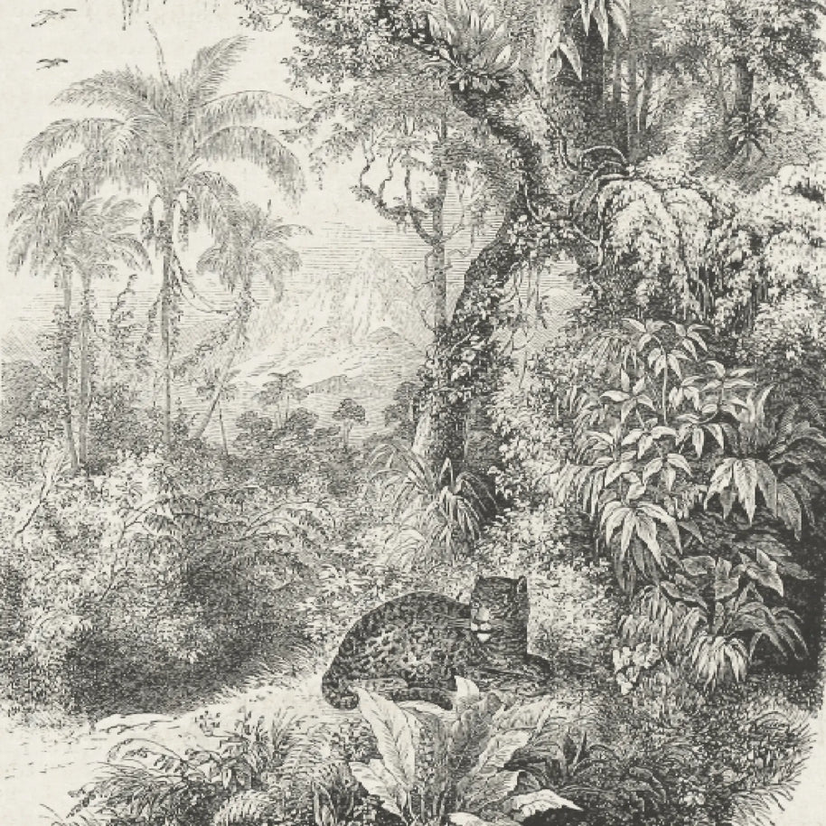 Mural Leopardo