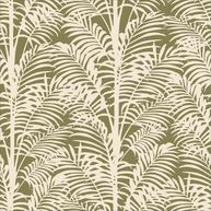 Palmy Palms
