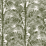 Palmy Palms