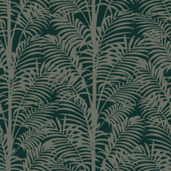 Palmy Palms