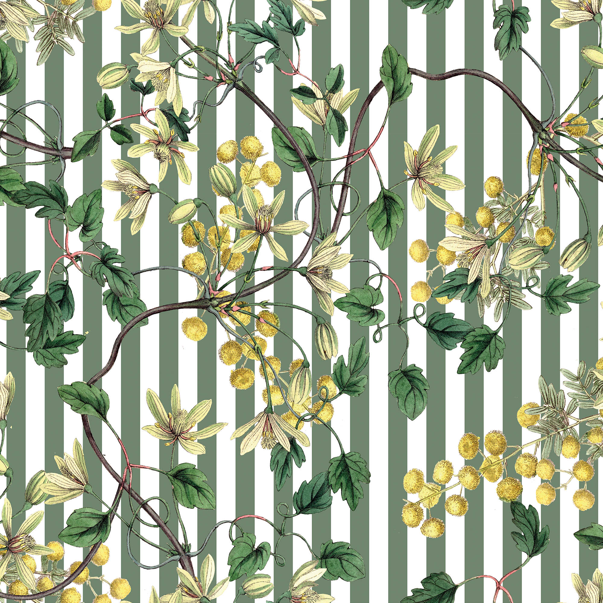 Botanical Spring (Flores + Lineas)