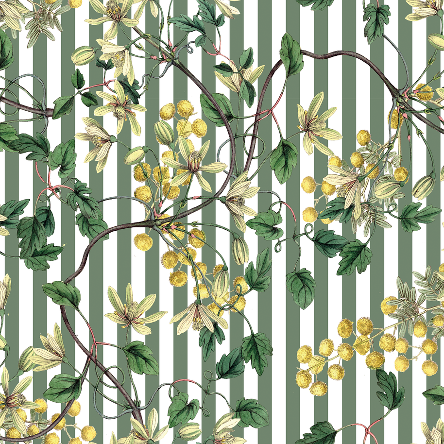 Botanical Spring (Flores + Lineas)