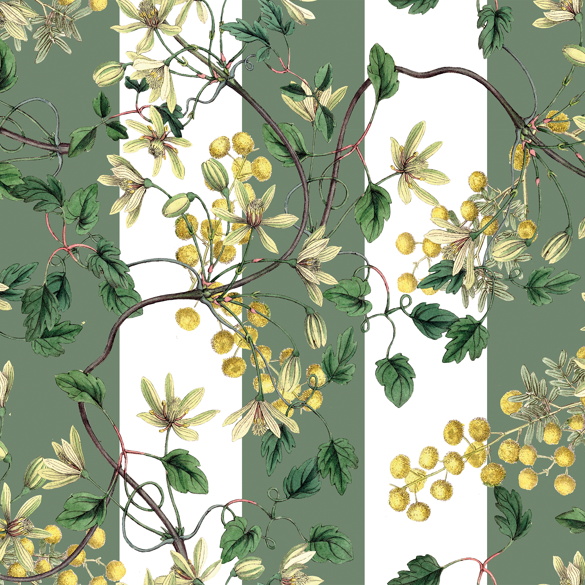 Botanical Spring (Flores + Lineas)