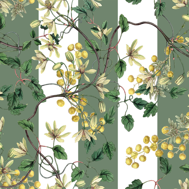 Botanical Spring (Flores + Lineas)